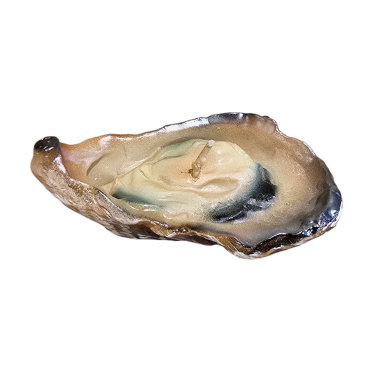 Oyster Candle