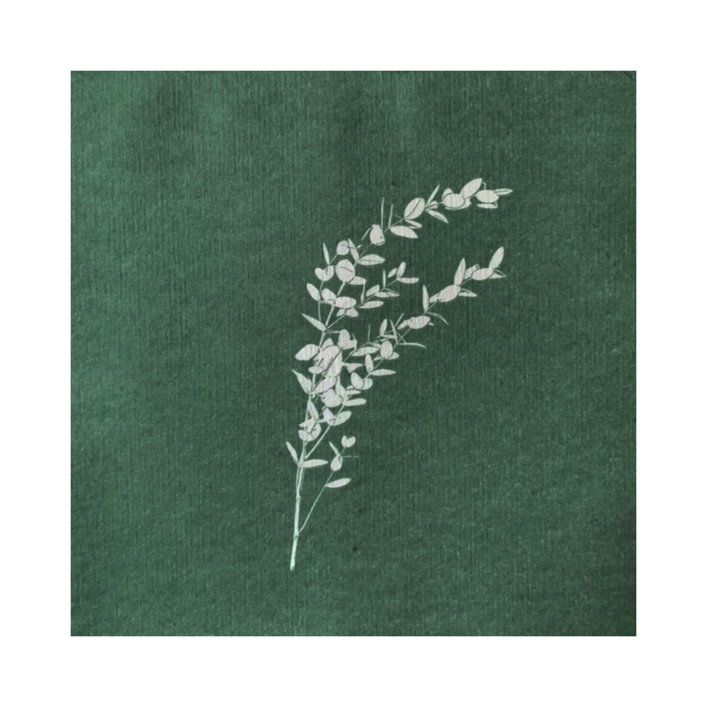 Dinner Napkins - Eucalyptus