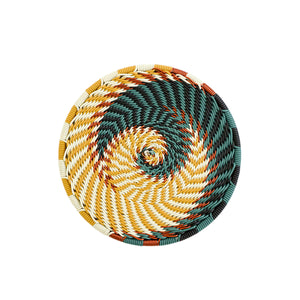 Set of 6 Coasters - Sanseveria