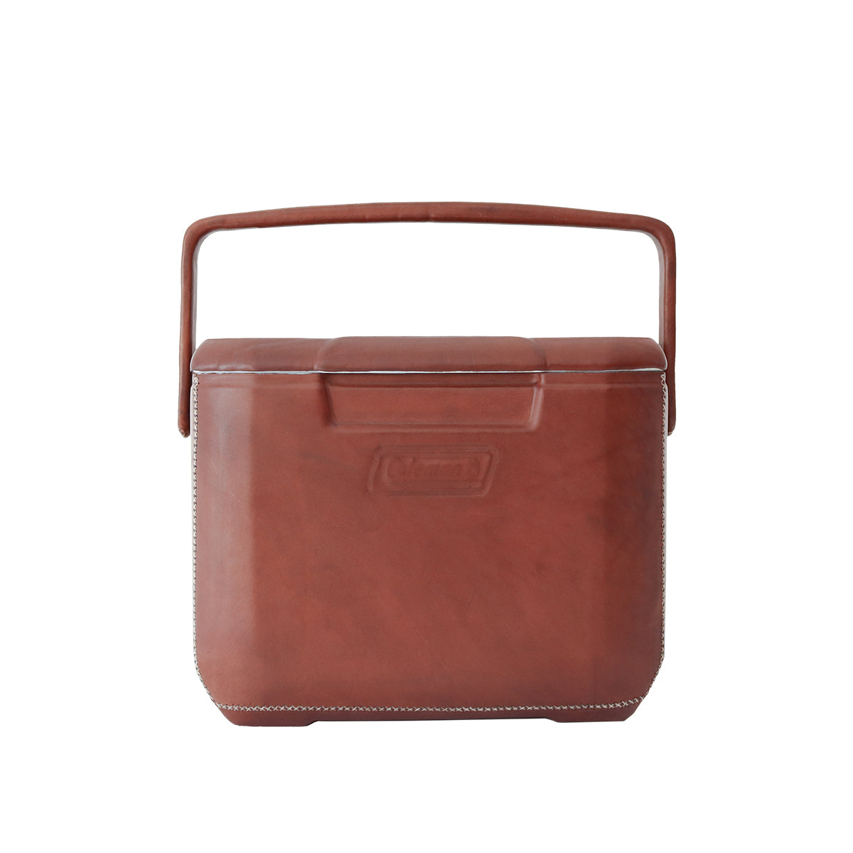 Excursion 16 Cooler - Brown