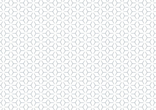 House of Jay | Wrapping Paper Geometric